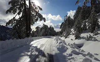 Кипр в горах Троодос: тишина, снег и древние храмы