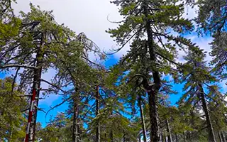 В Платресе создана первая Академия Туризма
